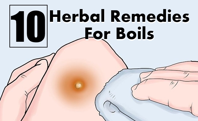 Herbal Remedies For Boils