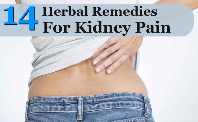 Herbal Remedies For Kidney Pain
