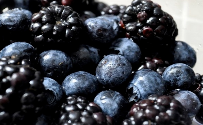 Dark Colored Berries